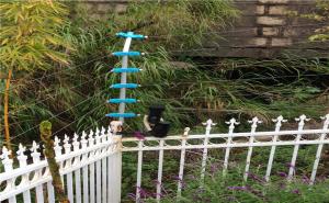 防盜報(bào)警系統(tǒng)有哪些種類？